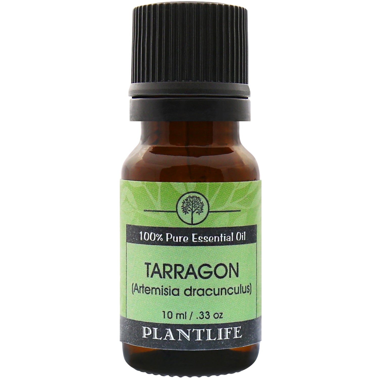 Tarragon Essential Oil - Tree Spirit Wellness