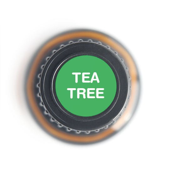 Tea Trea Essential oil - 15ml - Tree Spirit Wellness
