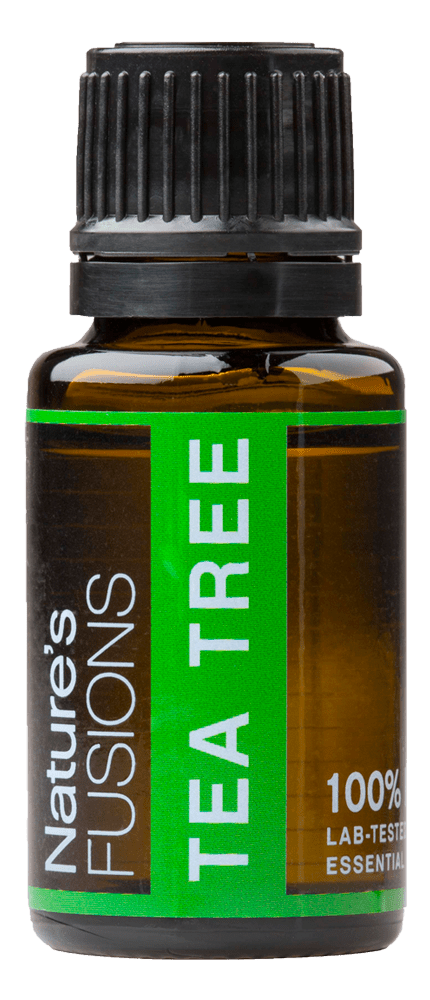 Tea Trea Essential oil - 15ml - Tree Spirit Wellness