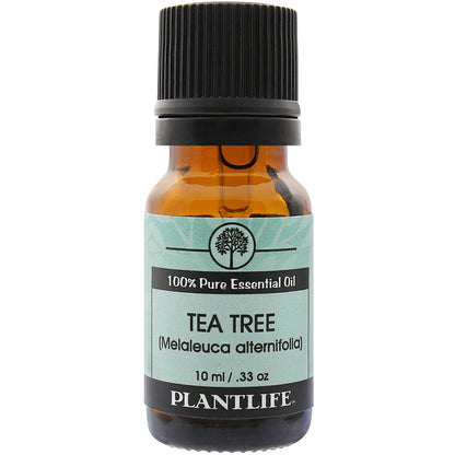 Tea Tree Essential Oil - Tree Spirit Wellness
