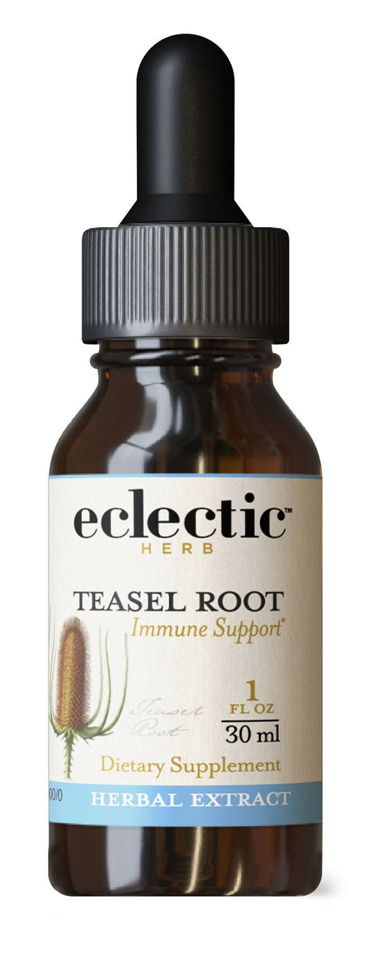 TEASEL ROOT EXTRACT - Tree Spirit Wellness