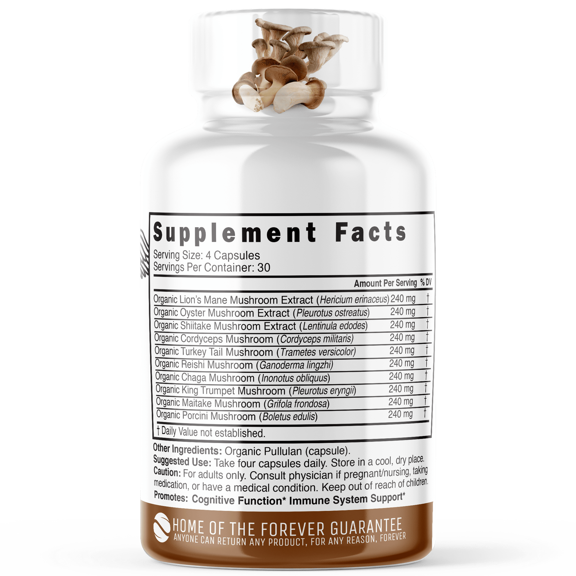 10 Mushroom Complex 2400 mg - ORGANIC 120 ct. - Tree Spirit Wellness