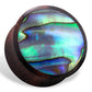 Abalone Plugs - Brown Wood - Tree Spirit Wellness
