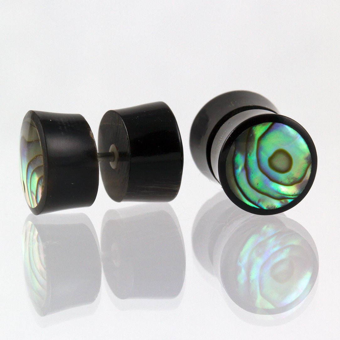 Abalone Shell - Horn - Tree Spirit Wellness