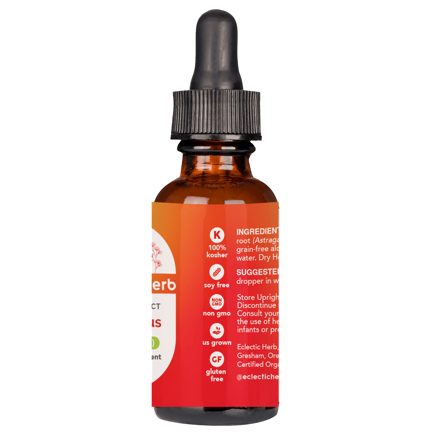 ASTRAGALUS LIQUID - Tree Spirit Wellness