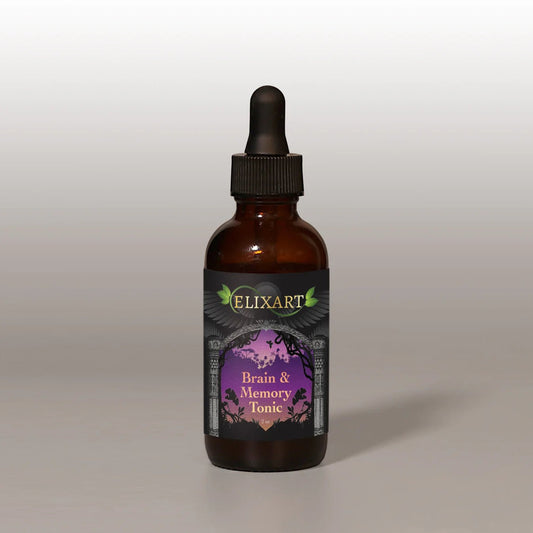 Brain & Memory Tonic - Tree Spirit Wellness