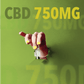 CBD - 3750mg - 5 ct. 750mg - Tree Spirit Wellness