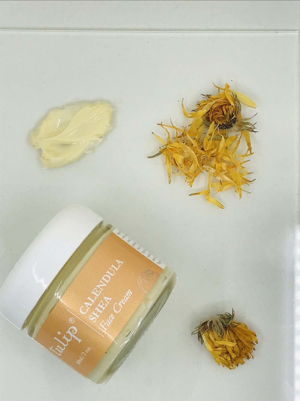 Cell Replenish Calendula Shea Face Cream freeshipping - Tree Spirit Wellness
