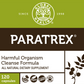 Complete Body Cleanse Program freeshipping - Tree Spirit Wellness