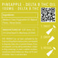 DELTA 8 THC Pineapple Oil 500mg - 5 ct. 100mg - Tree Spirit Wellness