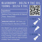 DELTA 9 Blueberry Oil 500mg - 5 ct. 100mg - Tree Spirit Wellness