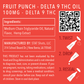 DELTA 9 Oil - Fruit Punch 500mg - 5 ct. 100mg - Tree Spirit Wellness