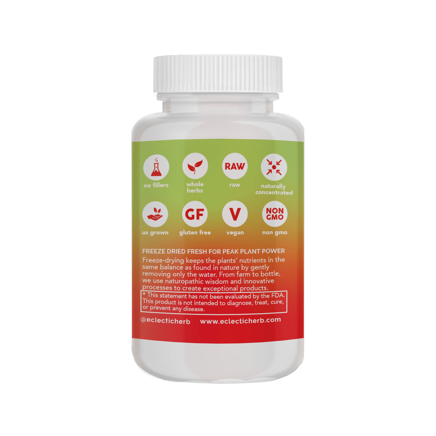 ECHINACEA ANGUSTIFOLIA CAPSULES - Tree Spirit Wellness