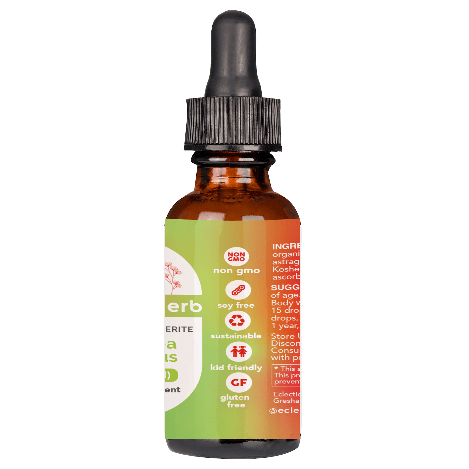 ECHINACEA ASTRAGALUS LIQUID- ORANGE - Tree Spirit Wellness