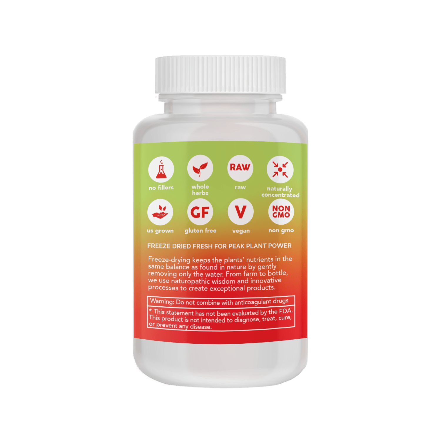 GINKGO CAPSULES *PLASTIC BOTTLE* - Tree Spirit Wellness