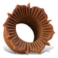 HIBISCUS TUNNELS freeshipping - Tree Spirit Wellness