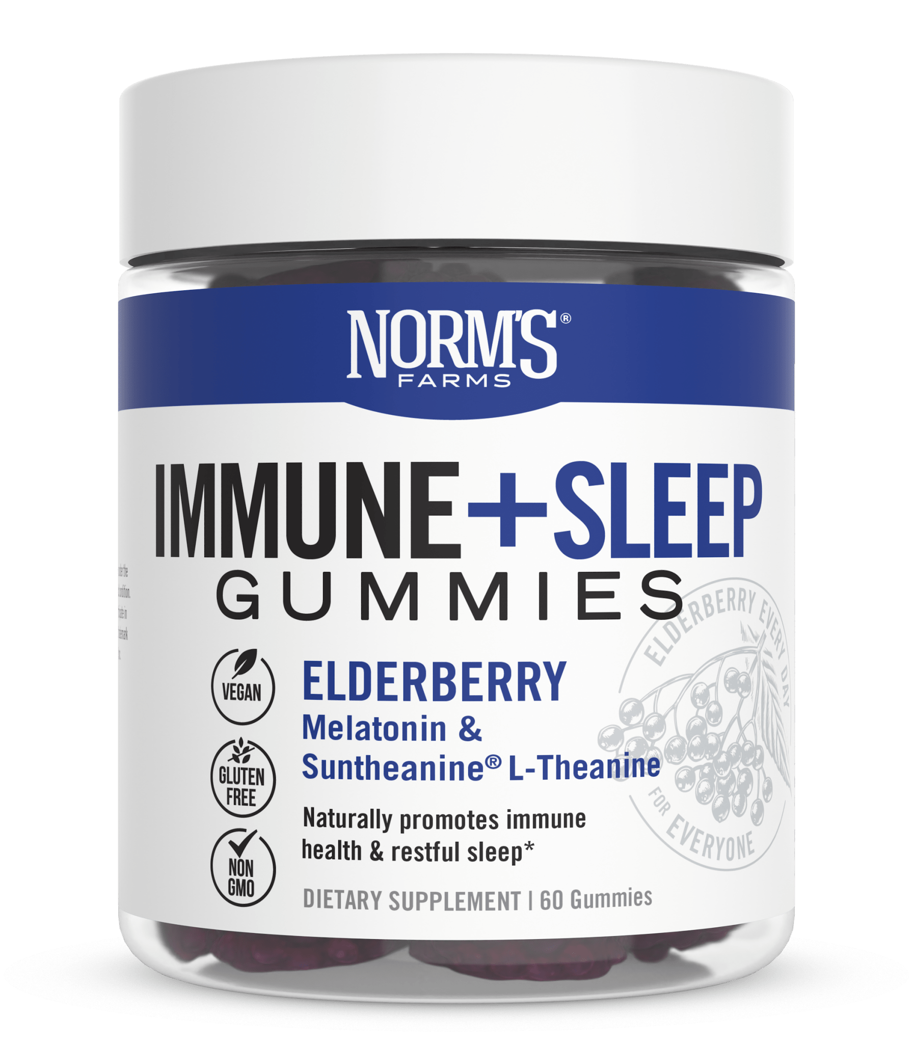 Immune + Sleep Gummies - Elderberry & Melatonin - Tree Spirit Wellness