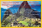 Maca - Tree Spirit Wellness