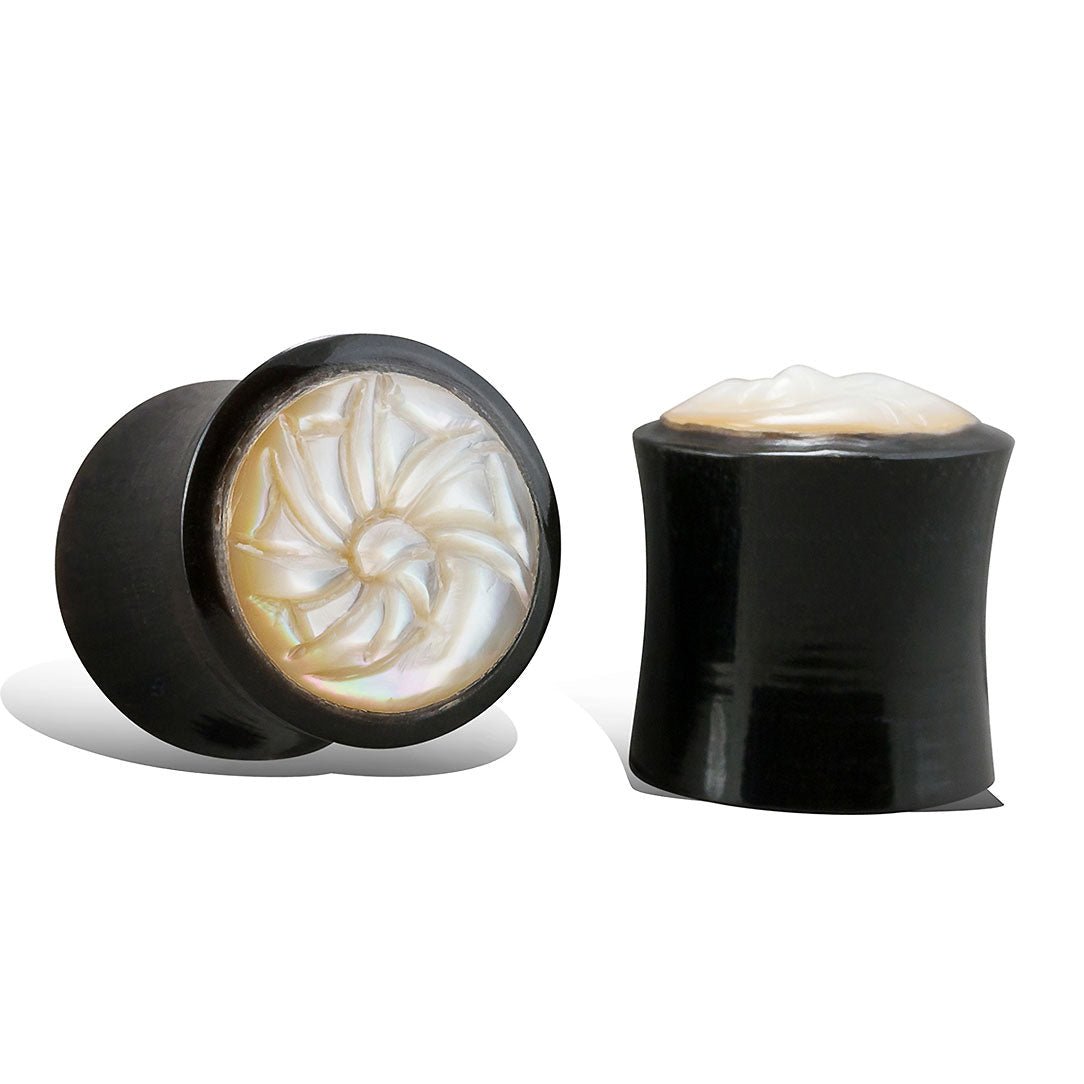 Nautilus Shell Plugs - Horn - Tree Spirit Wellness