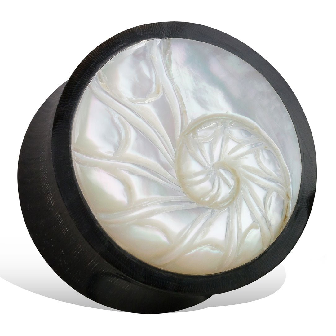 Nautilus Shell Plugs - Horn - Tree Spirit Wellness