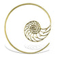 Nautilus Spirals 12ga - Tree Spirit Wellness