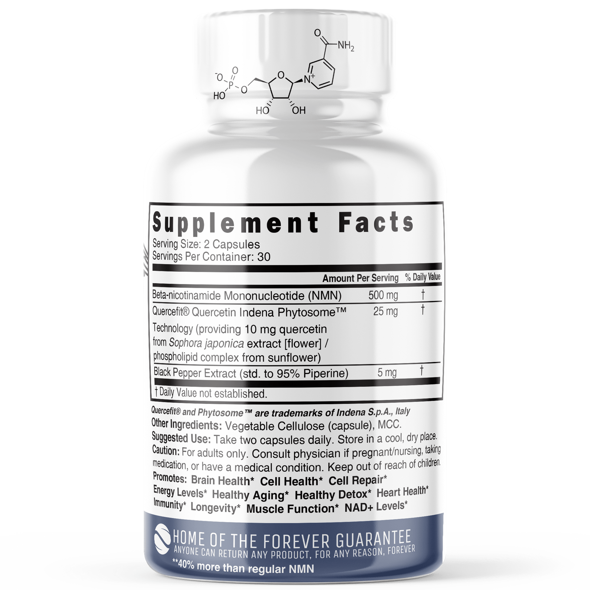 NMN+ 500 mg (NMN + Quercetin & Piperine) 60ct - Tree Spirit Wellness