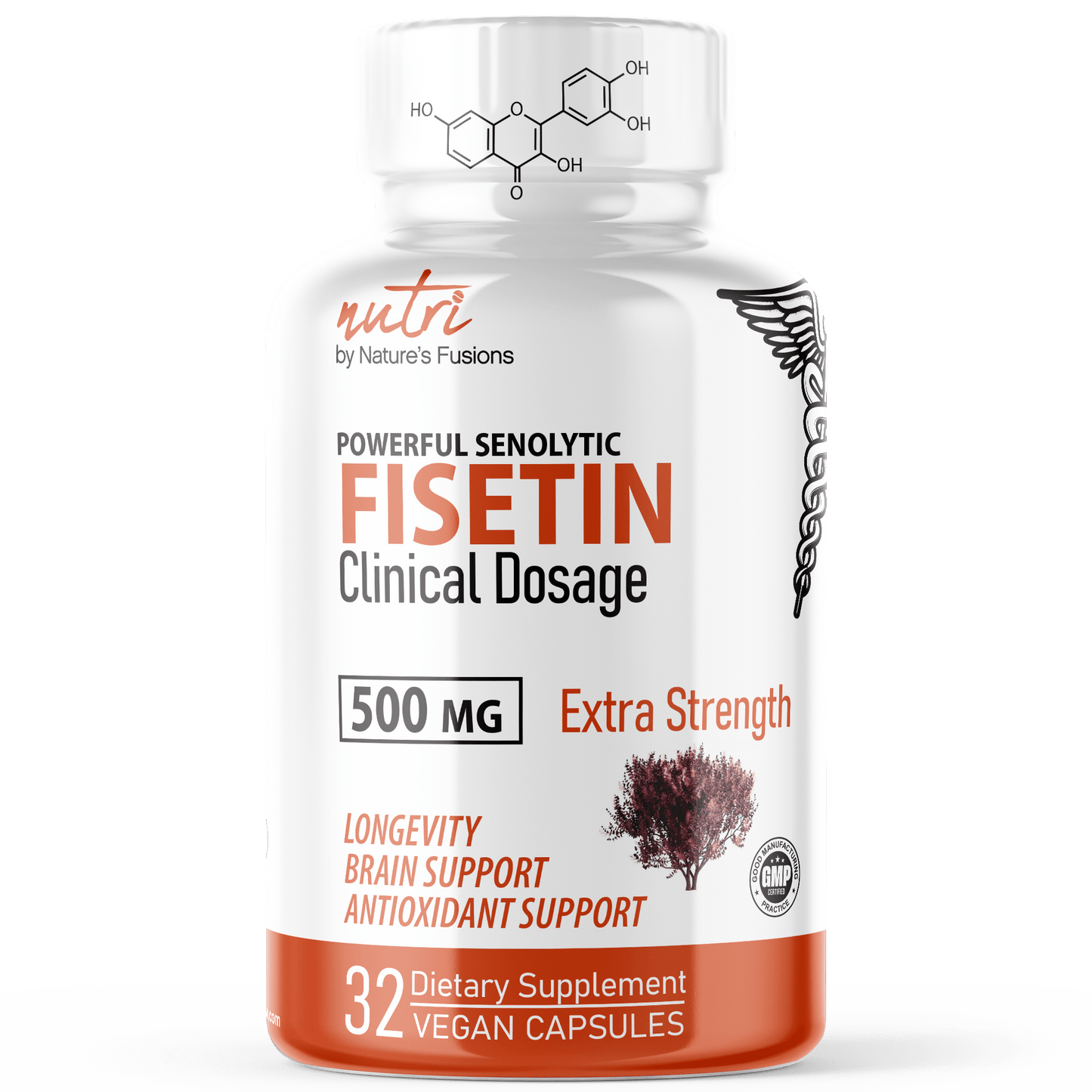 Nutri SenoFi - Fisetin 500mg - Powerful Senolytic Activator, Antioxidant, & Brain Support - Natural Polyphenols - 32 Count - Tree Spirit Wellness