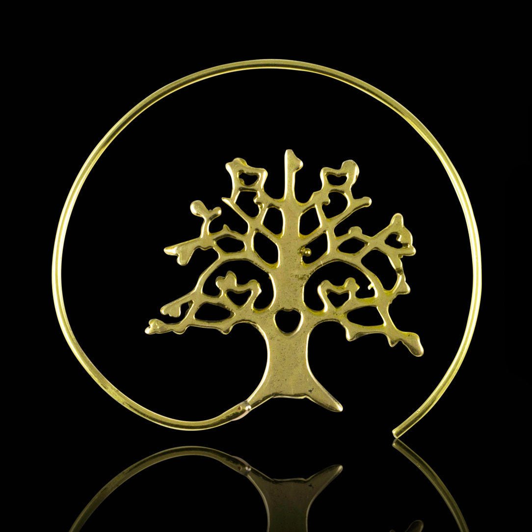 Open Forest Spirals - Tree Spirit Wellness