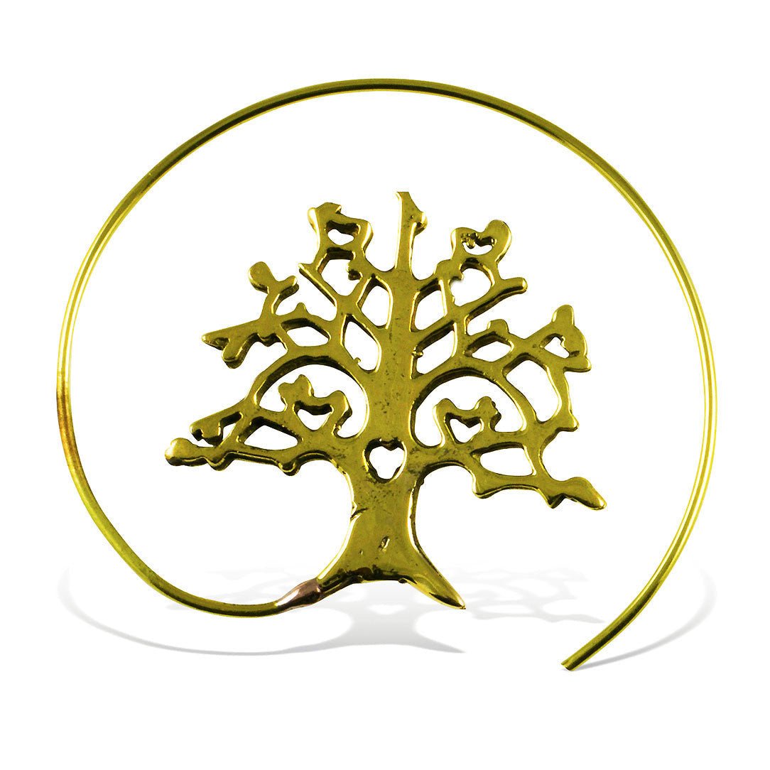 Open Forest Spirals - Tree Spirit Wellness