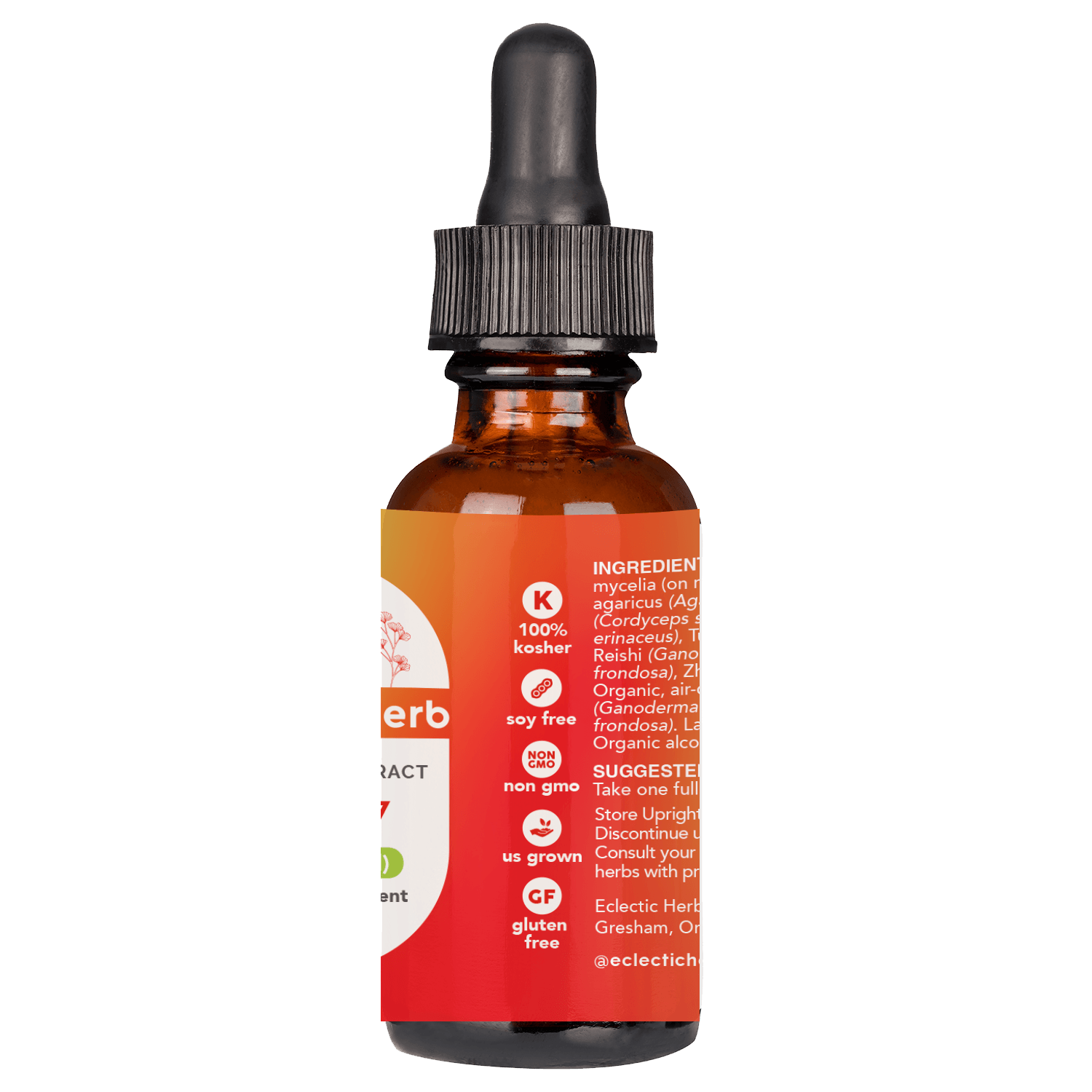 ORIGINAL 7 MUSHROOMS LIQUID - Tree Spirit Wellness