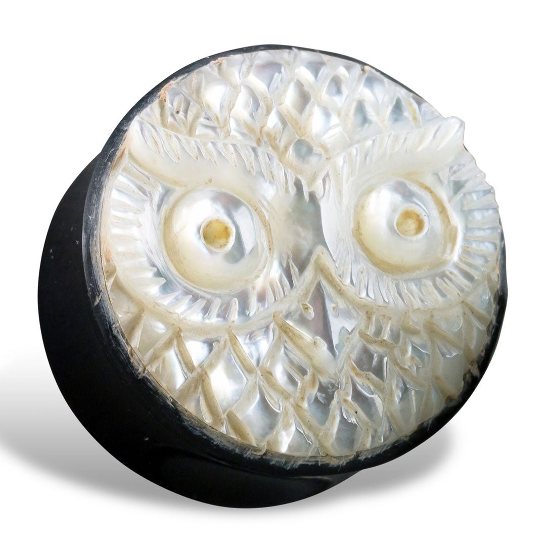 Owl Shell Plugs - Horn - Tree Spirit Wellness