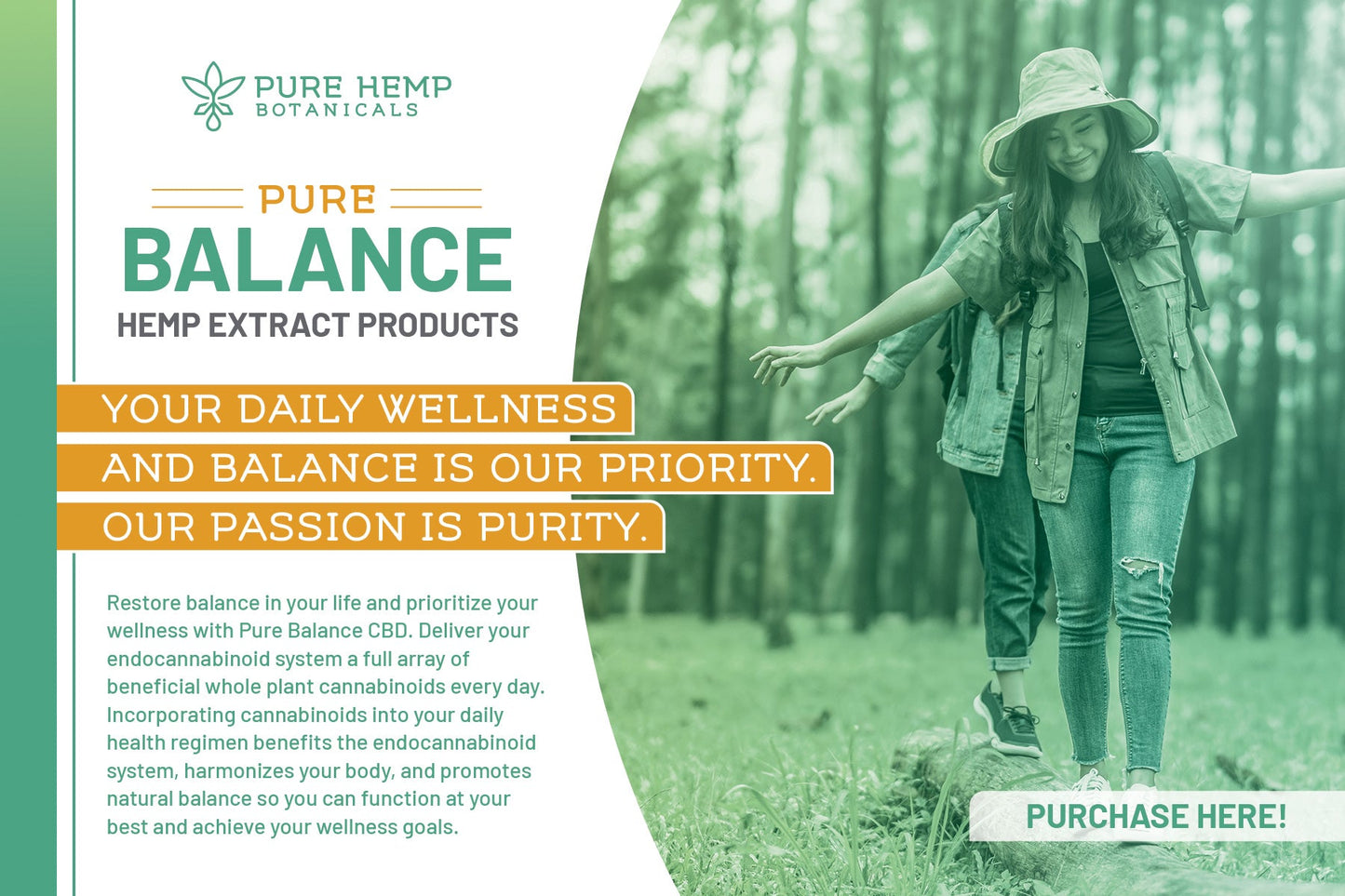 Pure Balance including Broad spectrum info card - Tree Spirit Wellness