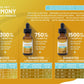 Pure Pet Harmony info card - Tree Spirit Wellness