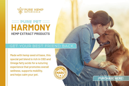 Pure Pet Harmony info card - Tree Spirit Wellness