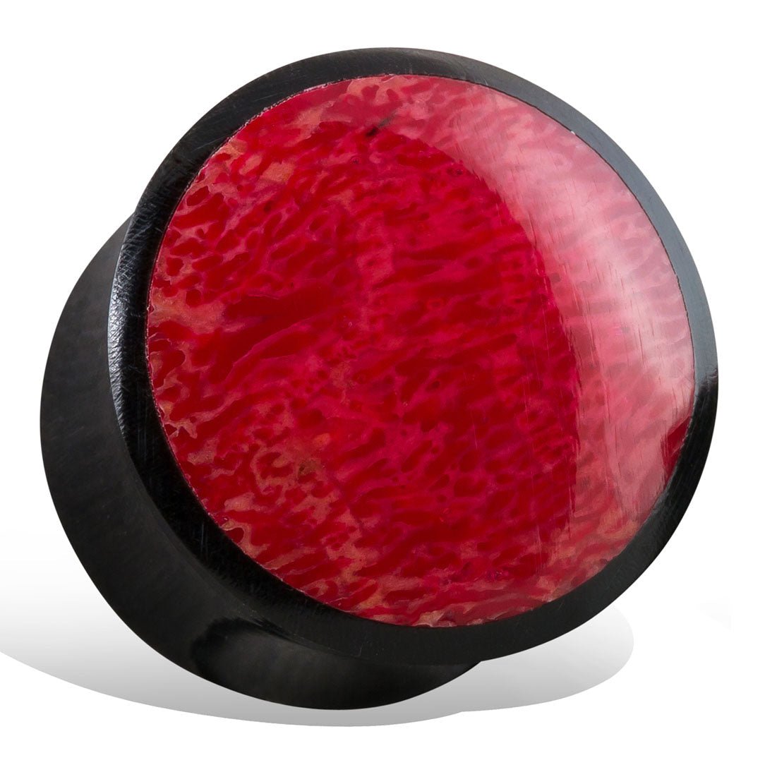 Red Coral Plugs - Horn - Tree Spirit Wellness