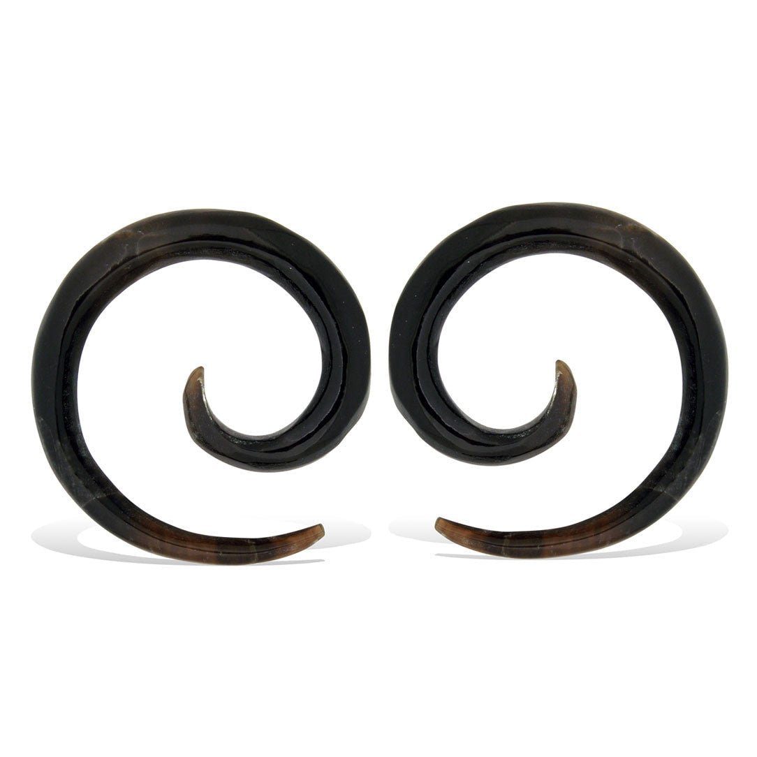 Starter Spirals - Horn - Tree Spirit Wellness