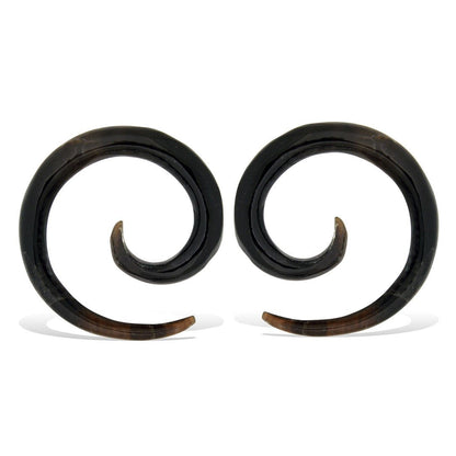 Starter Spirals - Horn - Tree Spirit Wellness