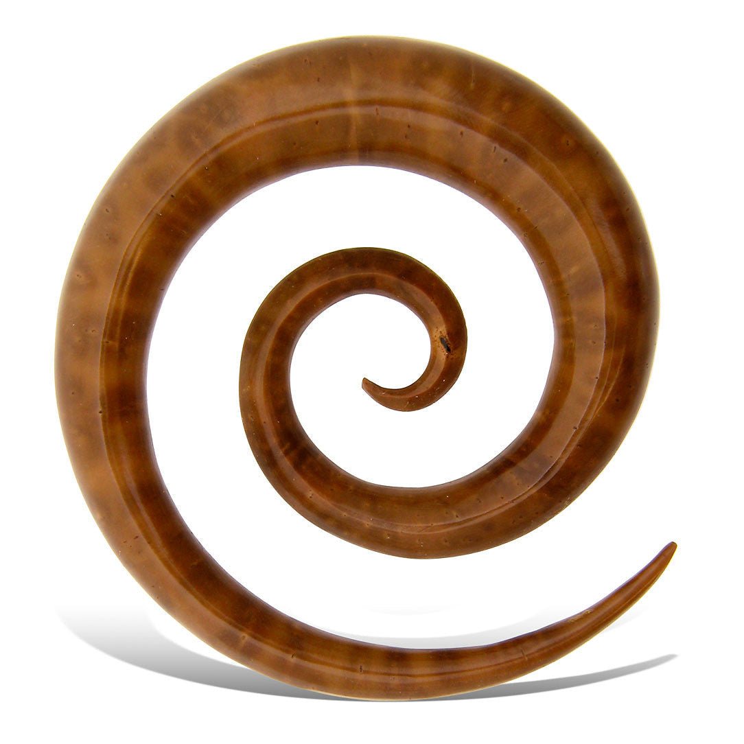 Super Spirals - Piassava Palm Nut - Tree Spirit Wellness