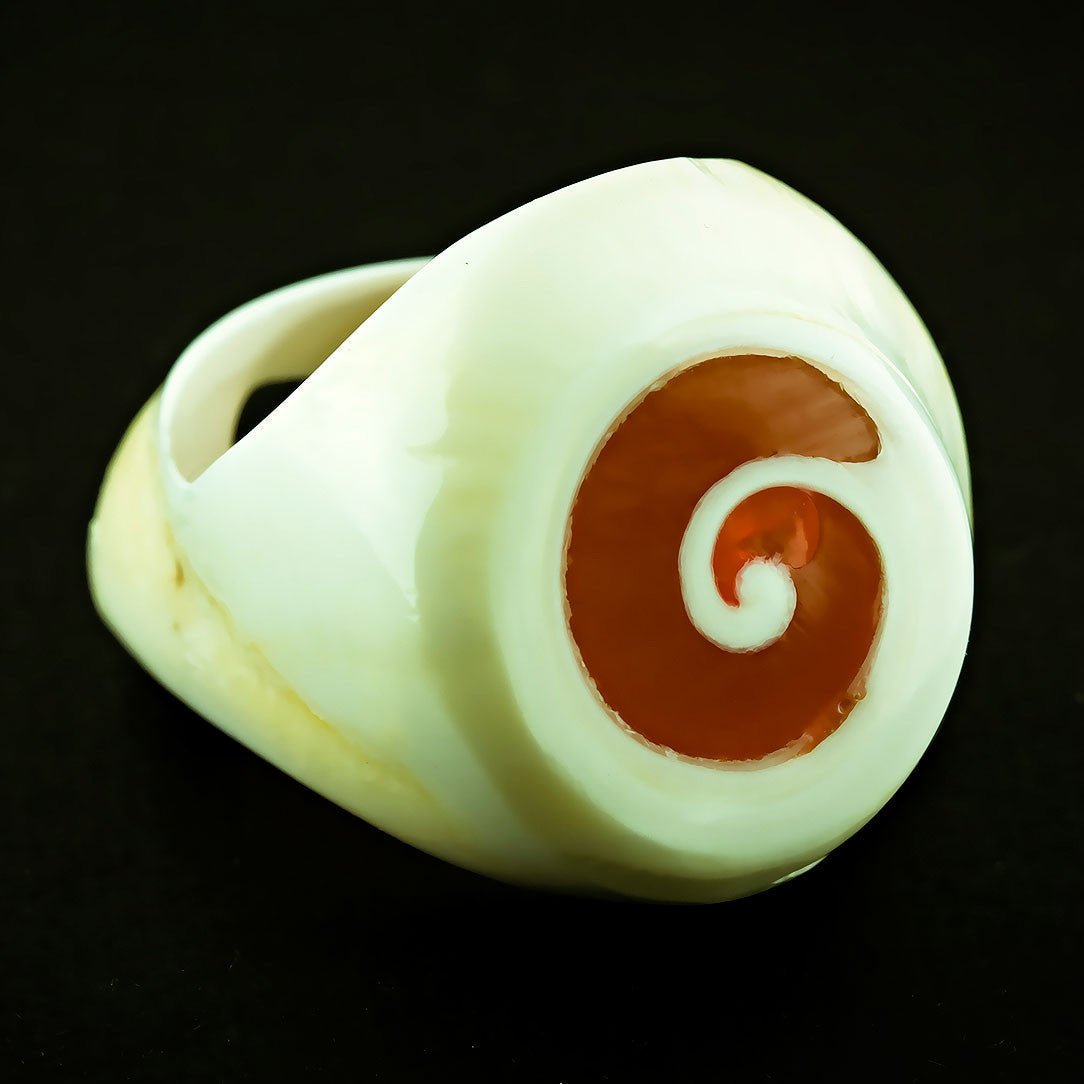 White Seashell Ring - Red Spiral - Tree Spirit Wellness