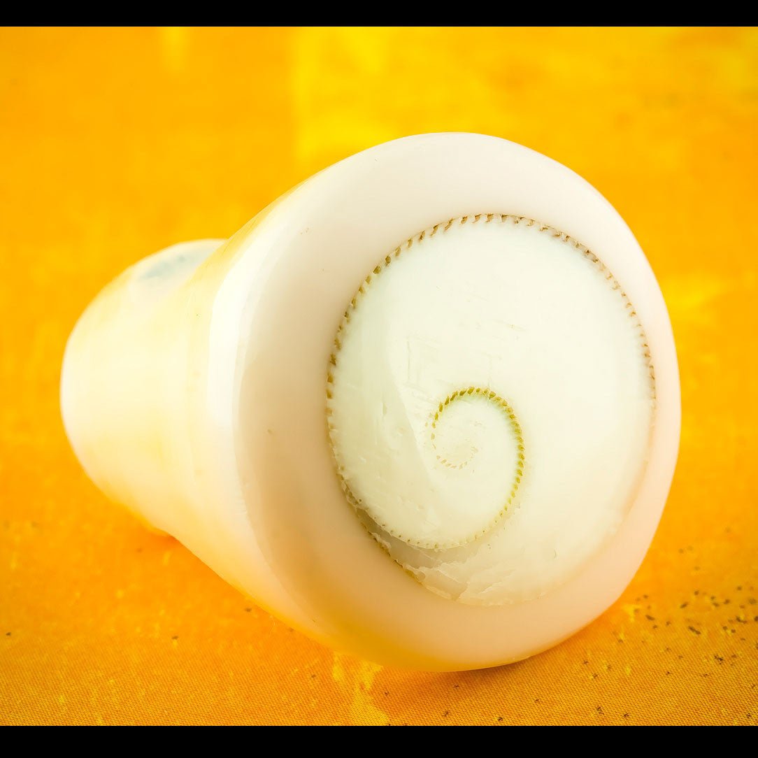 White Seashell Ring - Shiva Eye - Tree Spirit Wellness